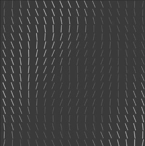 jsc_grass2