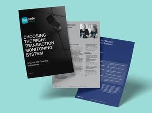 Transaction Monitoring Guide